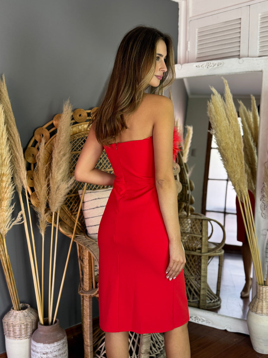 Vestido Francini Rojo