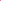 Falda Cate Line Fucsia
